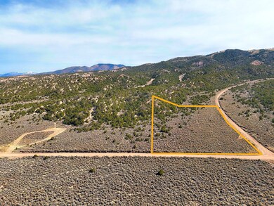 0 Slegers Rd unit 25448913, Fort Garland, CO 81133 - photo 3