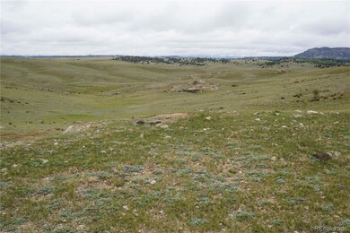 0 High Dr unit REC5498125, Hartsel, CO 80449 - photo 6