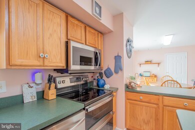 12 Martin Dr, Newark, DE 19713 - photo 7