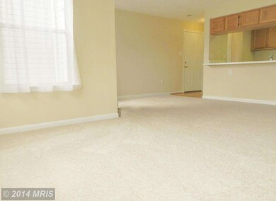 2802 Clear Shot Dr unit 7, Silver Spring, MD 20906 - photo 5