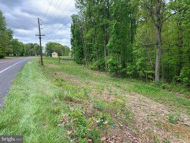 6701 Us Highway 340 N, 1, West Luray, VA 22650 - photo 3