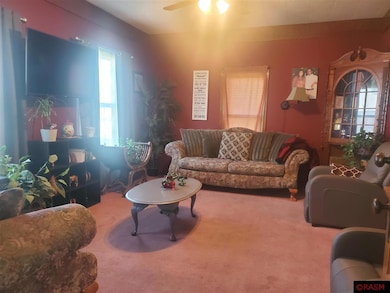 121 3rd Ave NE, Sleepy Eye, MN 56085 - photo 3