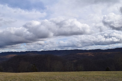 0 Big Springs Rd unit 19372195, Eidson, TN 37731 - photo 2