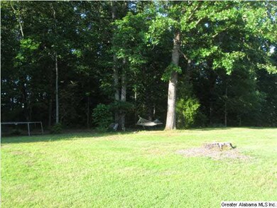 Great flat back yard