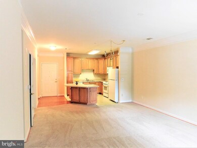 Mill Crossing unit 100, Frederick, MD 21702 - photo 6