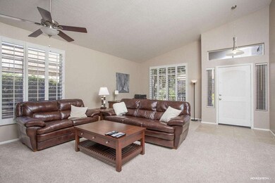 LARGE LIVING ROOM