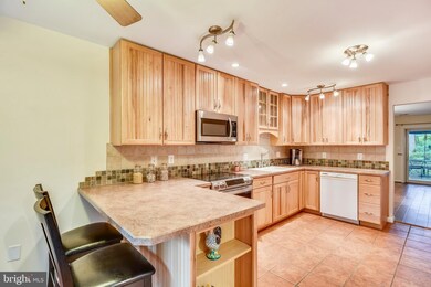 1906 Winterport Cluster, Reston, VA 20191 - photo 4