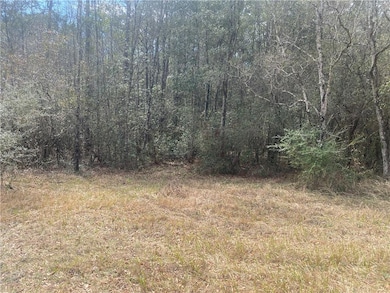 401 Novatan Rd N, Mobile, AL 36608 - photo 4