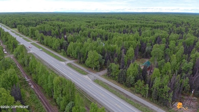 37548 Talkeetna Spur Rd, Talkeetna, AK 99676 - photo 4
