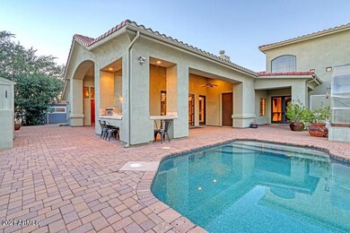 Backyard 6