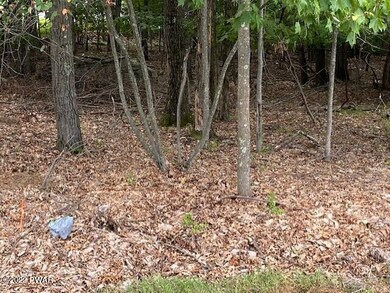 108 Buck Run Dr, Milford, PA 18337 - photo 3