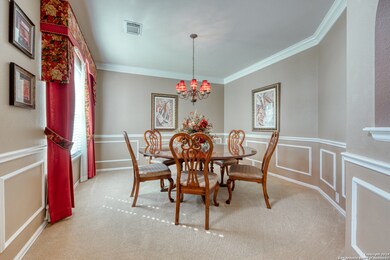 13156 Mystic Saddle, Helotes, TX 78023 - photo 4