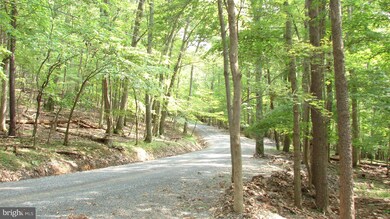 0 Tuscarora Trail unit 1000321760, Berkeley Springs, WV 25411 - photo 5