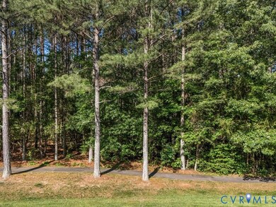 11834 Kings Pond Dr, Providence Forge, VA 23140 - photo 5