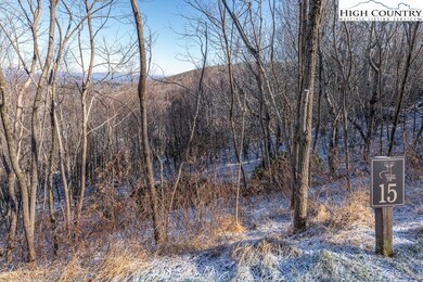 TBD Antler Trail, Boone, NC 28607 - photo 2