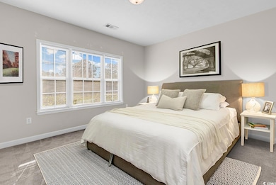 113 Ashley Park Dr unit 4A, Myrtle Beach, SC 29579 - photo 5