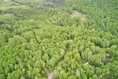 A12 Friendly Ln, 3, Marksville, VA 22851 - photo 3