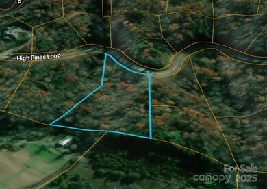 00 High Pines Loop, Lake Lure, NC 28746 - photo 7