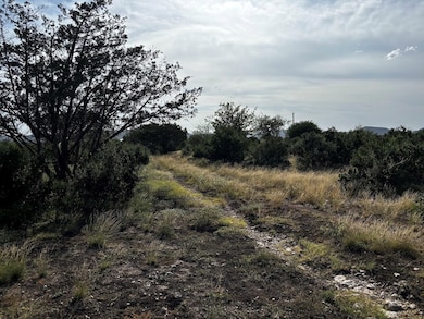 820 Matt St unit 34 & 35, Camp Wood, TX 78833 - photo 7