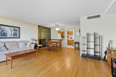 Thorndale Beach South Condominiums unit 9F, Chicago, IL 60660 - photo 5