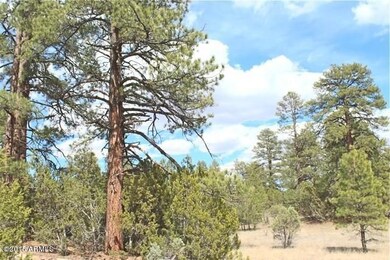 Lot6