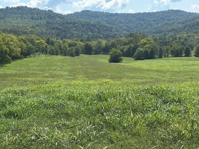 0 Cane Creek-Cummingsville Rd, Sparta, TN 38583 - photo 2