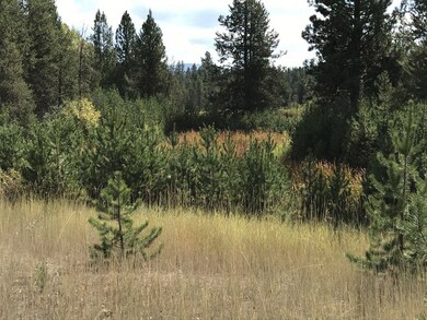 3.3 Acres For Full-Time or Play