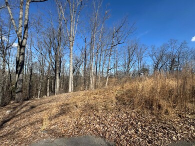 Tract 37 Village Dr, Cohutta, GA 30710 - photo 2