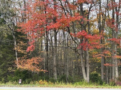 Lot 30 Main St, Honesdale, PA 18431 - photo 3