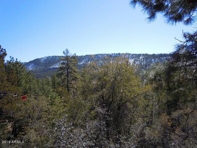 46 W Coyote Drive -- unit 46, Strawberry, AZ 85544 - photo 2