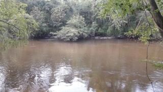 thumbnail_IMG_3357