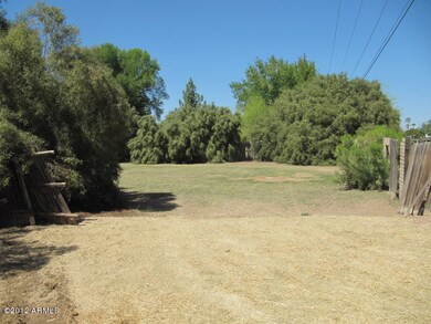 backyard view