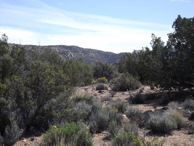 DSCF1103.JPG