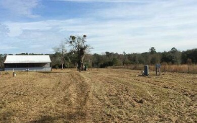 unlisted-address, Lake City, FL 32055 - photo 3