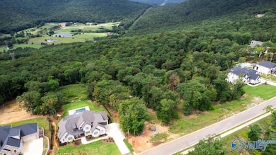 49 Watson Grande Way SE, Owens Cross Roads, AL 35763 - photo 5