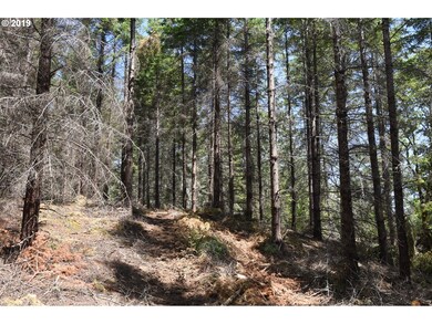 0 NW Meadow Lake Rd unit 19045317, Carlton, OR 97111 - photo 3