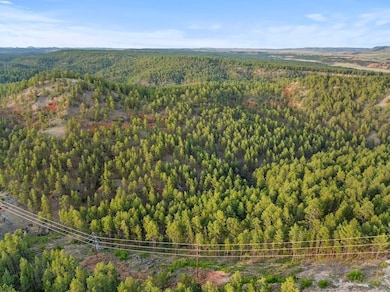 0 Tbd Argyle Rd unit LotWP001 23629719, Hot Springs, SD 57747 - photo 3