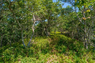 38 Fire Tower Rd, West Tisbury, MA 02568 - photo 6