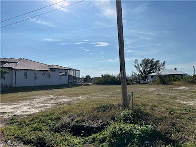 718 NW 37th Place, Cape Coral, FL 33993 - photo 2