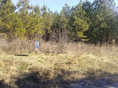 3.5 Acre Lot Pope Rd, Roanoke, AL 36274 - photo 2