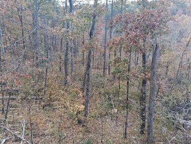 #72 Boktuklo Mountain unit 72, Honobia, OK 74957 - photo 6