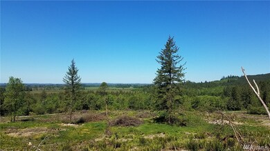 0 Dowling Rd unit 1137085, Toledo, WA 98591 - photo 2