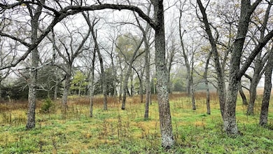 Rt 1, Blue Mound, KS 66010 - photo 4