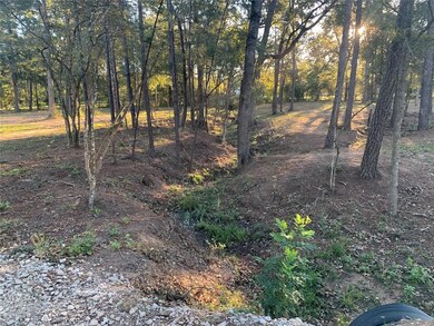 24102 Pinewood Valley Dr, Hockley, TX 77447 - photo 5