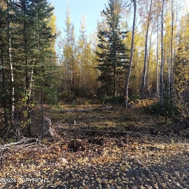 Beaver 2