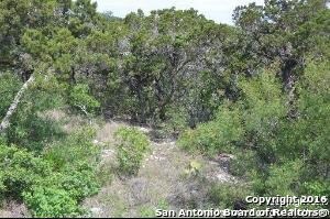 12303 Tatum, Helotes, TX 78023 - photo 2