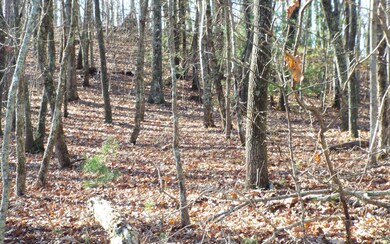 Additional View
