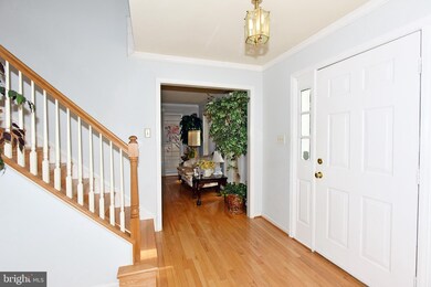 709 Pebble Beach Dr, Silver Spring, MD 20904 - photo 6