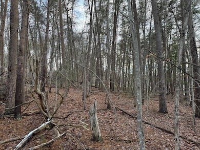 Lot 5 Highland Lake Rd, Union Hall, VA 24176 - photo 5