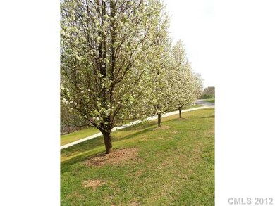 Other - Woodleaf scenery